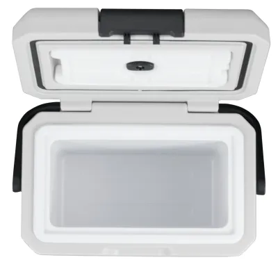 Компресорний автохолодильник Alpicool P8 (8 літрів). До -15℃, живлення 12, 24, 220 вольт, вбудована батарея - 5 Компресорний автохолодильник Alpicool P8 (8 літрів). До -15℃, живлення 12, 24, 220 вольт, вбудована батарея - 5 - Robinzon.ua