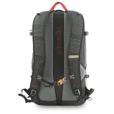 Рюкзак Pinguin Step 24, Red (PNG 326130) 2020 - 2 - Robinzon.ua