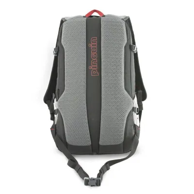 Рюкзак Pinguin Step 24, Red (PNG 326130) 2020 - 3 - Robinzon.ua