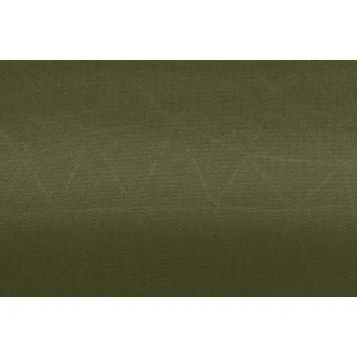 Самонадувающийся коврик Sea to Summit Camp Plus Mat, Moss, Regular, 183x51x7.5cm (STS AMSICAPLR) - 1 - Robinzon.ua