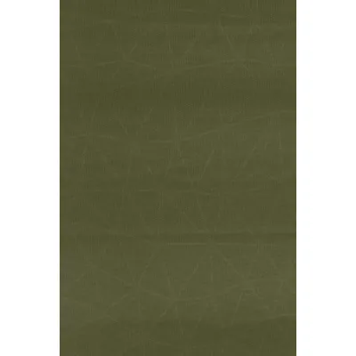 Самонадувающийся коврик Sea to Summit Camp Plus Mat, Moss, Regular, 183x51x7.5cm (STS AMSICAPLR) - 2 - Robinzon.ua