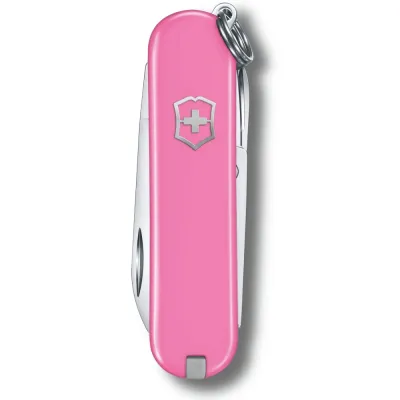 Складной нож Victorinox Classic SD Vx06223.51G - 1 - Robinzon.ua