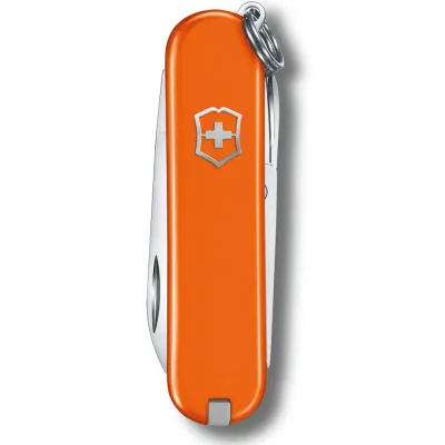 Складной нож Victorinox Classic SD Vx06223.83G - 1 - Robinzon.ua