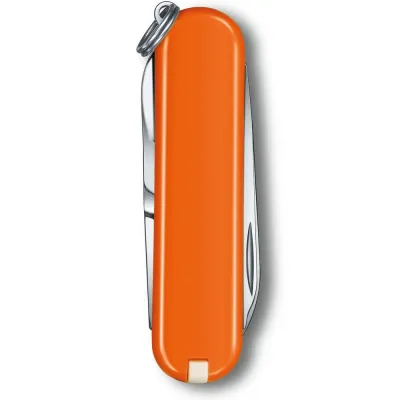 Складной нож Victorinox Classic SD Vx06223.83G - 2 - Robinzon.ua