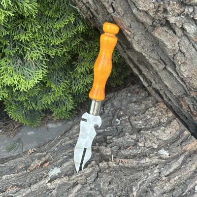 Вилка Mzavod з дерев'яною ручкою для зняття м'яса 280х2мм світла - 1 Вилка Mzavod з дерев'яною ручкою для зняття м'яса 280х2мм світла - 1 - Robinzon.ua