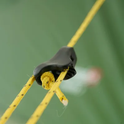 Намет Wechsel Exogen 3 ZG Green (231086) - 3 Намет Wechsel Exogen 3 ZG Green (231086) - 3 - Robinzon.ua