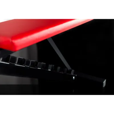 Лавка для жиму регульована Pro-10 Стійки, лавки для жиму і присідань без стійок - 6 Лавка для жиму регульована Pro-10 Стійки, лавки для жиму і присідань без стійок - 6 - Robinzon.ua