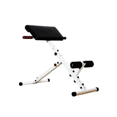 Лавка для гіперекстензії Magnus Тренажери для преса, гіперекстензії регульована - 1 - Robinzon.ua