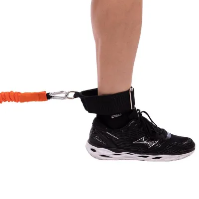 Поводок-амортизатор с рукоятками Record 6557 - 6 Поводок-амортизатор с рукоятками Record 6557 - 6 - Robinzon.ua