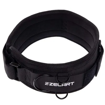 Тренировочная система с латеральным амортизатором Zelart 7841-35 - 1 Тренировочная система с латеральным амортизатором Zelart 7841-35 - 1 - Robinzon.ua