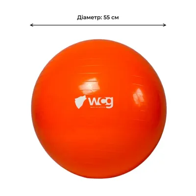 Фітбол (м'яч для фітнесу) 55 см WCG 55 Anti-Burst навантаження 300кг помаранчевий Фітбол - 1 Фітбол (м'яч для фітнесу) 55 см WCG 55 Anti-Burst навантаження 300кг помаранчевий Фітбол - 1 - Robinzon.ua