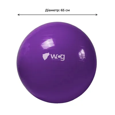 Фітбол (м'яч для фітнесу) 65 см WCG W-000-65-P Anti-Burst навантаження 300кг фіолетовий Фітбол - 3 - Robinzon.ua