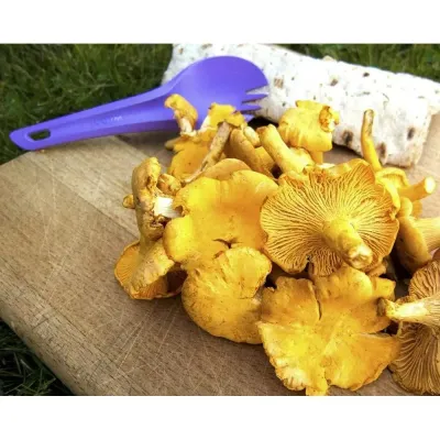 Ложка-виделка Wildo Spork, Blueberry (7330883103035) - 7 - Robinzon.ua