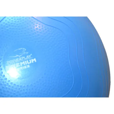 Мяч для фитнеса (фитбол) укрепленный PowerPlay 4000 &Oslash;65 cm Premium Gymball Anti-Burst Синий + насос - 5 - Robinzon.ua