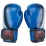Боксерские перчатки Venum синие VM55-12BS - 2 - Robinzon.ua
