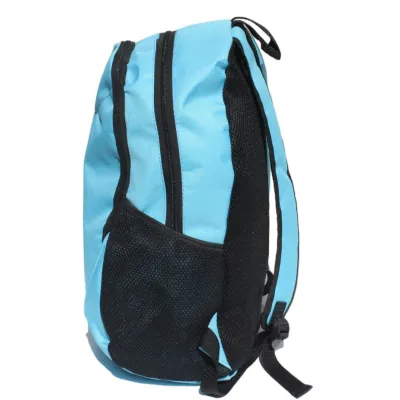 Рюкзак міський спортивний TREND (р-р 42х30 см, блакитний) - 1 - Robinzon.ua