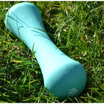 Гантель неопренова PowerPlay 4126 Spartacus 2.5 кг. М'ятна (1шт.) - 2 - Robinzon.ua