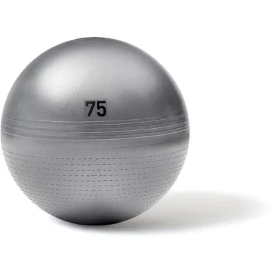 Фітбол Adidas Gymball сірий Уні 55 см ADBL-11245GR - 1 - Robinzon.ua