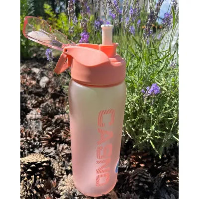 Пляшка для води CASNO 800 мл KXN-1246 Рожева - 2 Пляшка для води CASNO 800 мл KXN-1246 Рожева - 2 - Robinzon.ua
