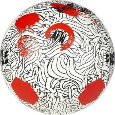 М'яч футбольний Select FREESTYLE v24 різнокольоровий Уні 4,5 099580-003 4,5 - 1 - Robinzon.ua