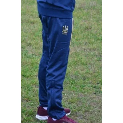 Штани спортивні Joma UKRAINE синій 2XL (сезон 2018-2019) FFU210011.18 2XL - 1 - Robinzon.ua