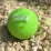 Массажный силиконовый мяч PowerPlay PP-4354 Silicone Lacrosse Ball (6.3см.) зеленый - 4 - Robinzon.ua