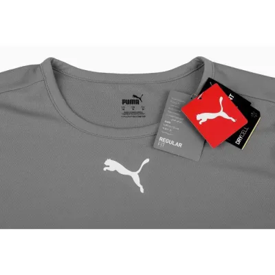Футболка Puma teamRISE Jersey Jr сірий Діт 176 см 704938-13 176 - 2 - Robinzon.ua