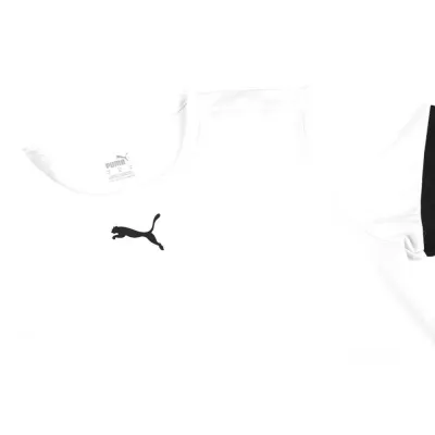Футболка Puma teamRISE Jersey Jr білий Діт 140 см 704938-04 140 - 2 - Robinzon.ua