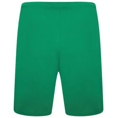 Шорти Puma teamRISE Short зелений Чол L 704942-05 L - 1 Шорти Puma teamRISE Short зелений Чол L 704942-05 L - 1 - Robinzon.ua