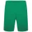 Шорти Puma teamRISE Short зелений Чол L 704942-05 L - 1 - Robinzon.ua