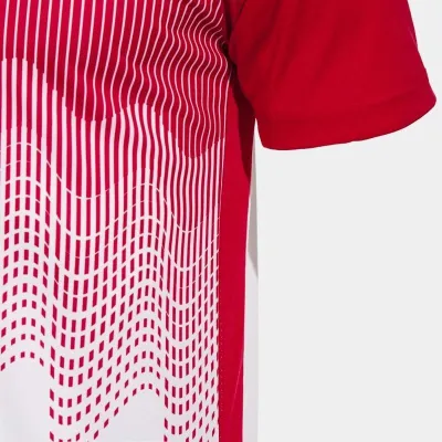 Чоловіча Футболка Joma TIGER VI Червоний L (103679.206 L) - 3 Чоловіча Футболка Joma TIGER VI Червоний L (103679.206 L) - 3 - Robinzon.ua