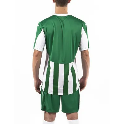Футболка Joma COPA зелений,білий XXS 100001.450 XXS - 2 Футболка Joma COPA зелений,білий XXS 100001.450 XXS - 2 - Robinzon.ua