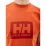 Мужская Футболка HELLY HANSEN HH BOX T Оранжевый M (7d53285-179 M) - 3 - Robinzon.ua