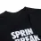 Чоловіча Футболка Nike M NK SB TEE SPRING BREAK Чорний L (DX9457-010) - 2 - Robinzon.ua
