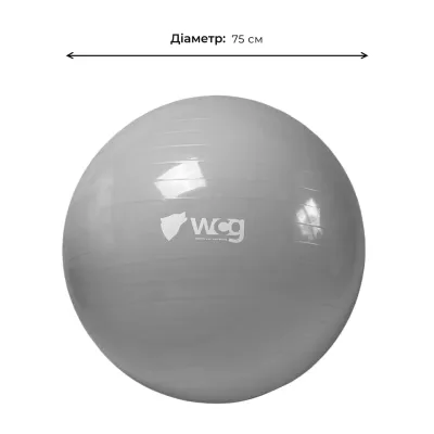 Фитбол (мяч для фитнеса) 75 см WCG Anti-Burst нагрузка 250 кг серый + насос Фитболы - 3 Фитбол (мяч для фитнеса) 75 см WCG Anti-Burst нагрузка 250 кг серый + насос Фитболы - 3 - Robinzon.ua