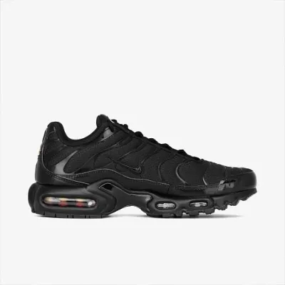 Чоловічі Кросівки Nike AIR MAX PLUS Чорний 44 (7d604133-050 44) - 1 Чоловічі Кросівки Nike AIR MAX PLUS Чорний 44 (7d604133-050 44) - 1 - Robinzon.ua