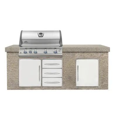 Встроенный газовый гриль BILEX-605 Napoleon BILEX605RBІPSS-RU. - 4 - Robinzon.ua