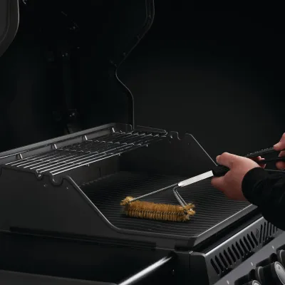 Щетка латунная трирядная Napoleon 62062. - 1 Щетка латунная трирядная Napoleon 62062. - 1 - Robinzon.ua