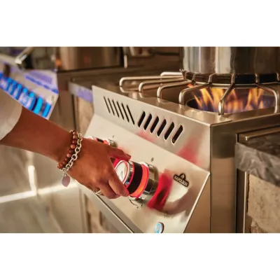 Супер мощная двойная варочная поверхность для встраивания с крышкой из нержавеющей стали Napoleon BIB18PBPSS-CE. - 4 - Robinzon.ua