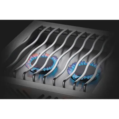 Подвійна конфорка для вбудовування з кришкою з нержавіючої сталі Napoleon BIB18RTPSS-CE - 4 - Robinzon.ua