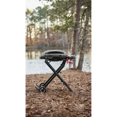 Газовий гриль Weber Traveler Compact Portable 1500527 - 3 - Robinzon.ua