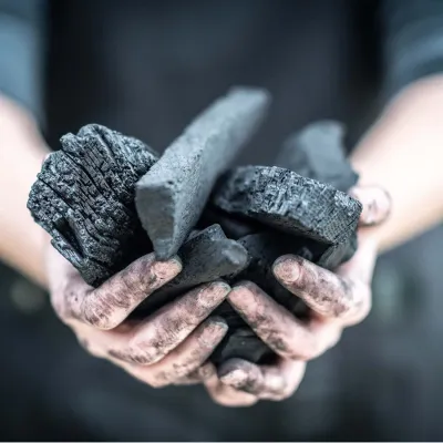 Уголь древесный Big Green Egg 9кг 666298. - 2 Уголь древесный Big Green Egg 9кг 666298. - 2 - Robinzon.ua