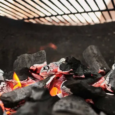 Уголь древесный бездымный Big Green Egg 9 кг 818924. - 3 - Robinzon.ua