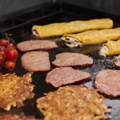 Газовий гриль Weber Genesis E-415W 1501315 - 6 - Robinzon.ua