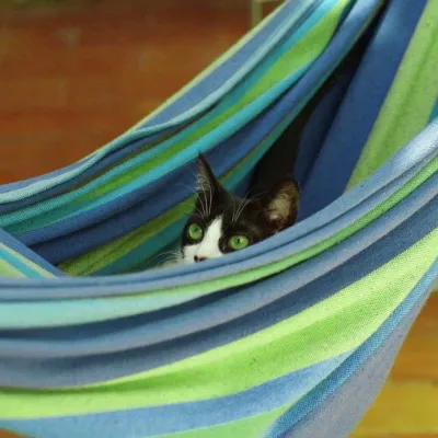 Комплект туристический раскладной стол и 4 стула Crystal 120х60х70 в чемодане Light Wood + Гамак 200х80 Blue - 1 Комплект туристический раскладной стол и 4 стула Crystal 120х60х70 в чемодане Light Wood + Гамак 200х80 Blue - 1 - Robinzon.ua