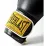 Боксерські рукавиці  Everlast 1910 CLASSIC TRAINING GLOVE чорний Уні 16 унцій P00001713 - 1 - Robinzon.ua