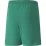 Шорты Puma teamRISE Short Jr зеленый Дет 152 см 704943-05 152 см - 1 - Robinzon.ua