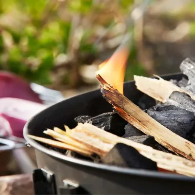 Дрова Light My Fire TinderSticks, 180-220g pin-pack (LMF 15316910) - 2 - Robinzon.ua