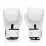Боксерські рукавиці Fairtex BGV1-ONE (натуральна шкіра) White 10 унцій - 2 - Robinzon.ua