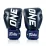 Боксерські рукавиці Fairtex BGV1-ONE (натуральна шкіра) Blue 10 унцій - 1 - Robinzon.ua